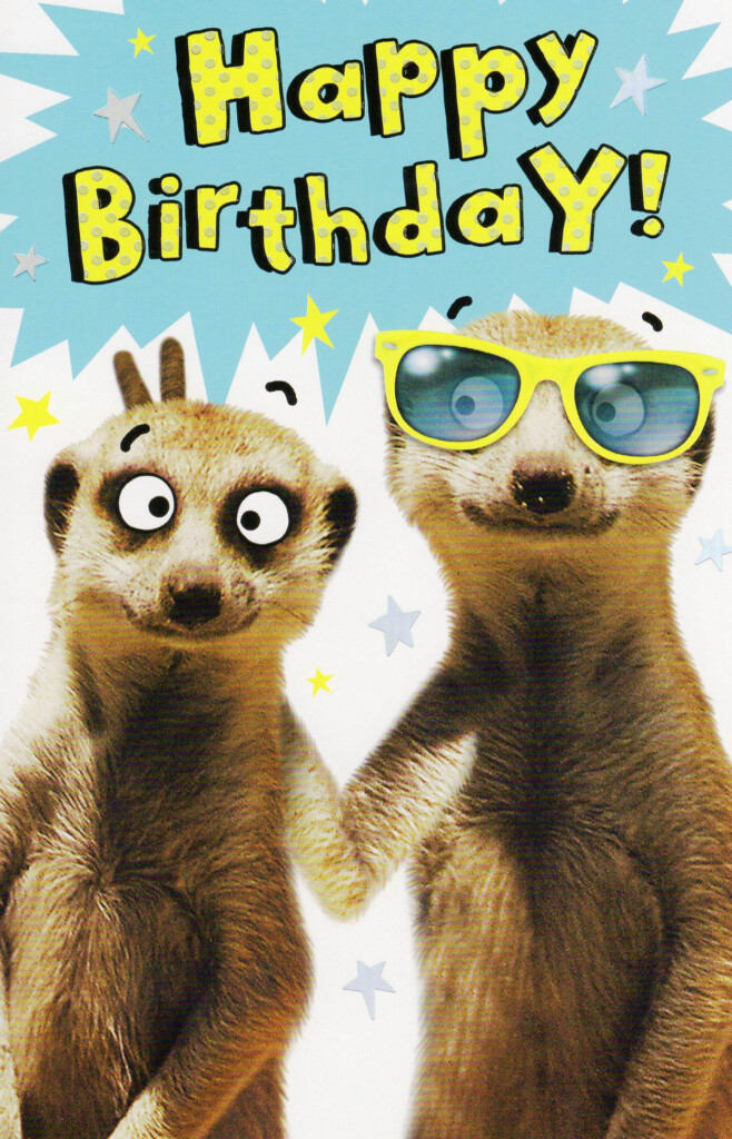 Birthday card 344784 JPG 1558 2424 Happy Birthday Funny Happy 