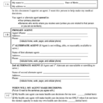 California Advance Health Care Directive Form 2008 Printable Pdf Download