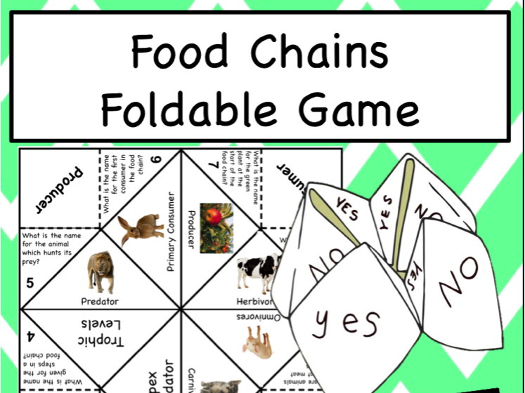 Food Chains Game Teaching Resources