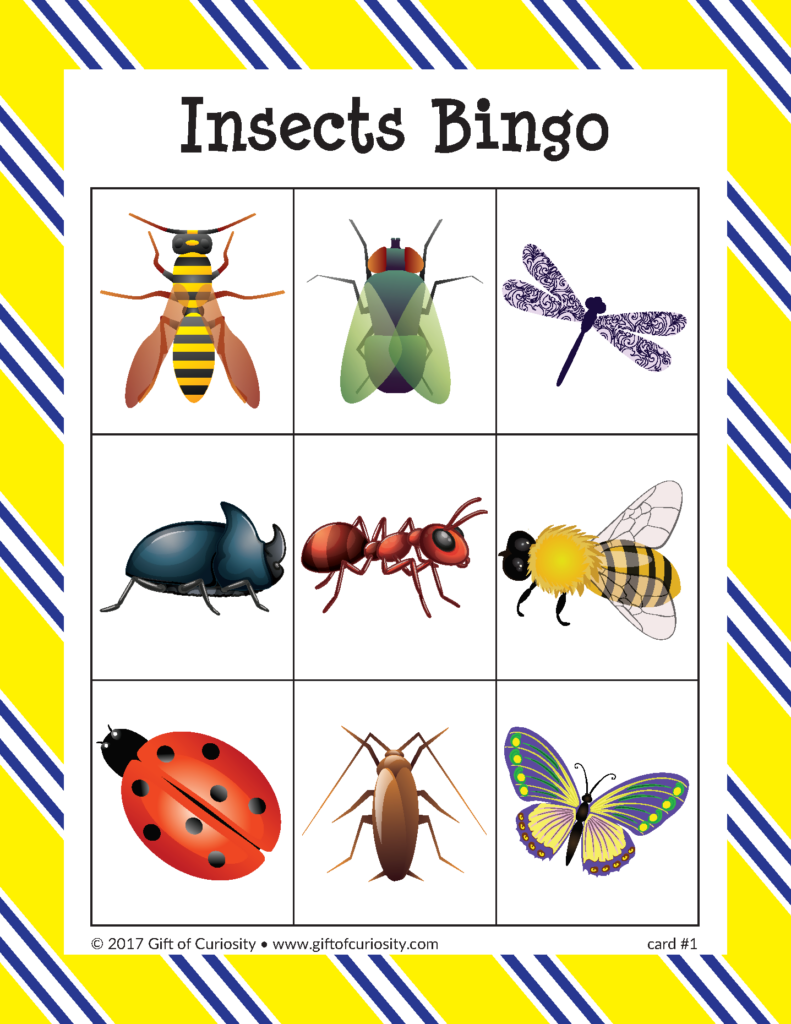 Insects Bingo Insects Preschool Insects Insects For Kids
