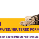 Printable Coupon Save 10 Off Royal Canin Cat Food For Neutered Spayed