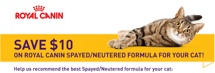 Printable Coupon Save 10 Off Royal Canin Cat Food For Neutered Spayed 