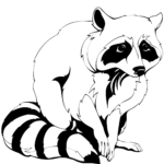 Raccoon Coloring Page Free Printable Coloring Pages