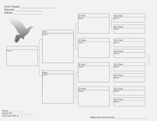 Printable Pigeon Pedigree Forms Blank - NewFreePrintable.net