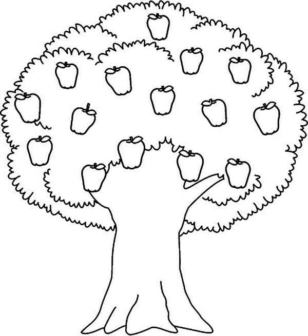 Awesome Apple Tree Coloring Page Kids Play Color