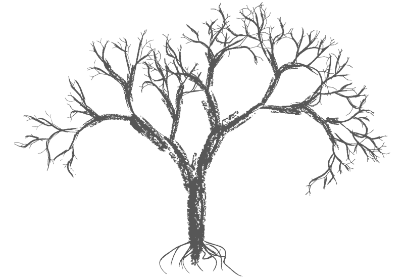 Bare Trees Drawing At GetDrawings Free Download