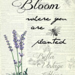 Botanical Bloom Lavender Print Pillow Note Cards Junk Journal