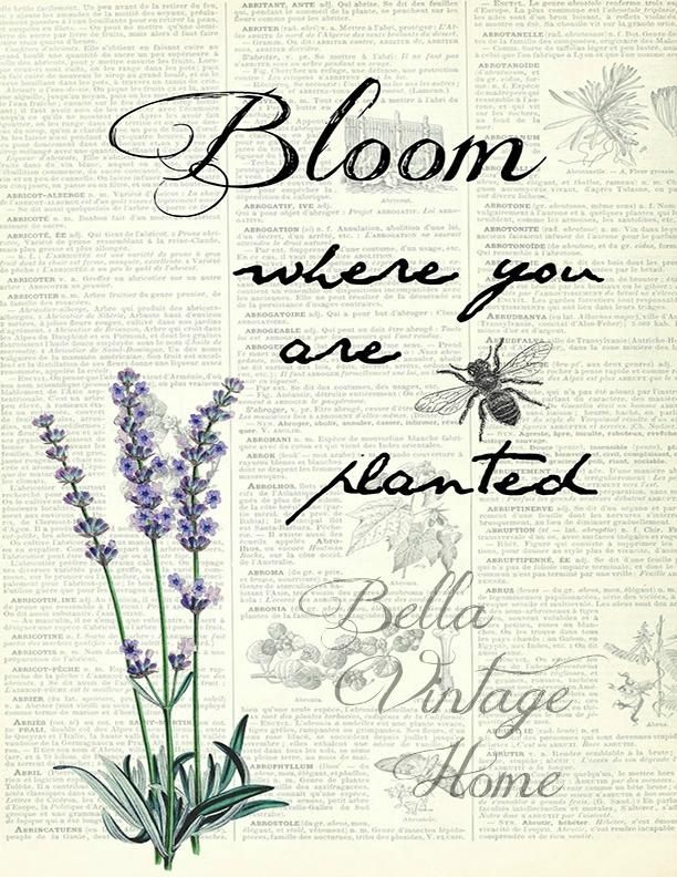 Botanical Bloom Lavender Print Pillow Note Cards Junk Journal 