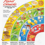 Canada s New Food Guide What s Changed BC Parent Newsmagazine