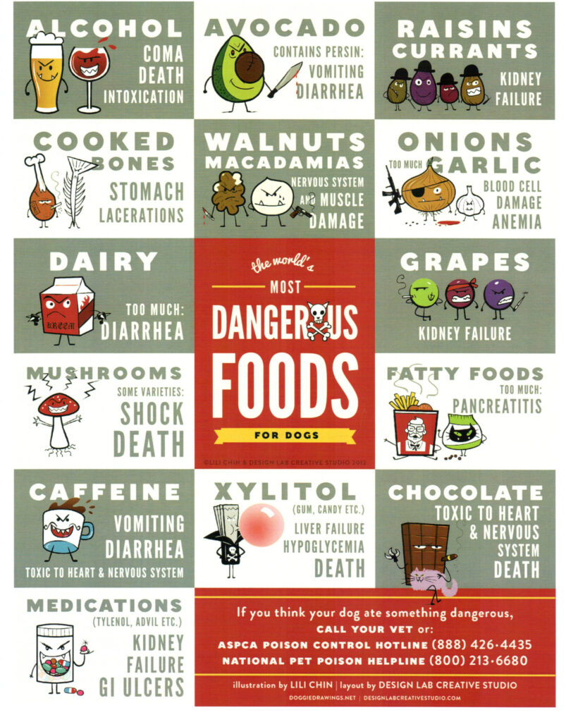 Printable List Of Foods Poisonous To Dogs