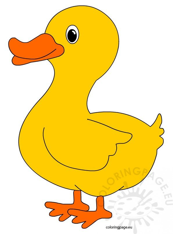 Cute Duck Coloring Page