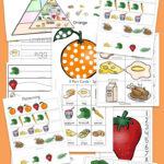 Food Groups Preschool Activity Pack Food Groups Preschool Group