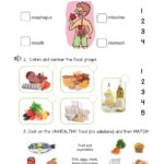 Food Groups Review Activity Worksheet