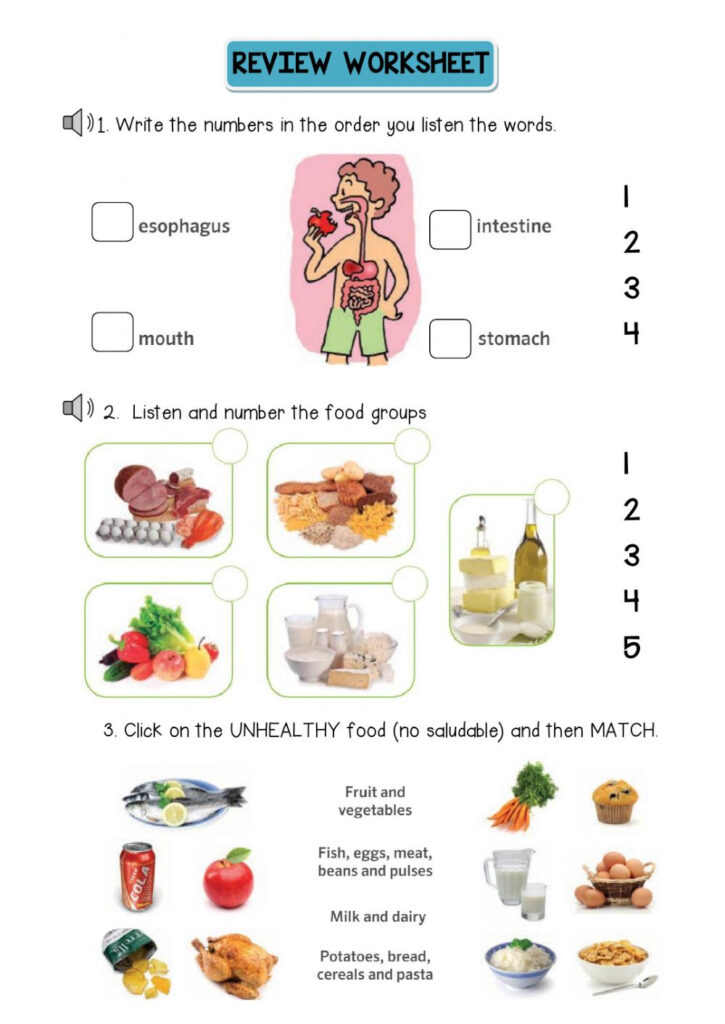 Food Groups Review Activity Worksheet