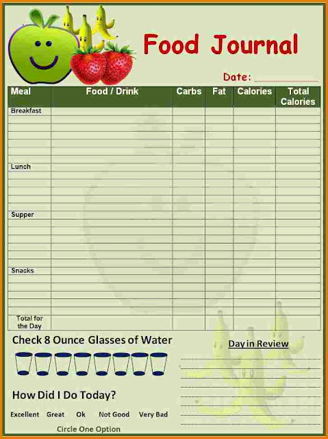 Food Log Template Printable In Excel Format