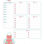 FREE Printable Happy Planner Zone Cleaning Insert From MintFox