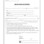 Free Texas Limited Power Of Attorney Form For Tax Audits Adobe PDF Word