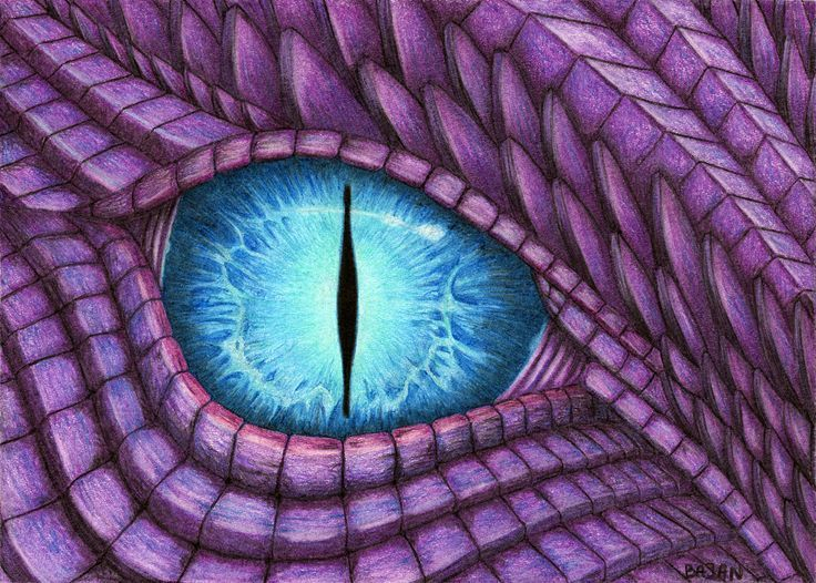 Image Result For Cartoon Dragon Eyes Dragon Eye Drawing Dragon 
