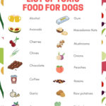 List Of Toxic Foods For Dogs Leah Ingram