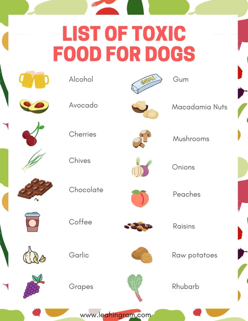 List Of Toxic Foods For Dogs Leah Ingram