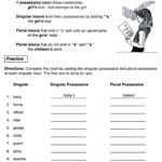 Ms Third Grade Singular And Plural Possessive Nouns Worksheets For Free