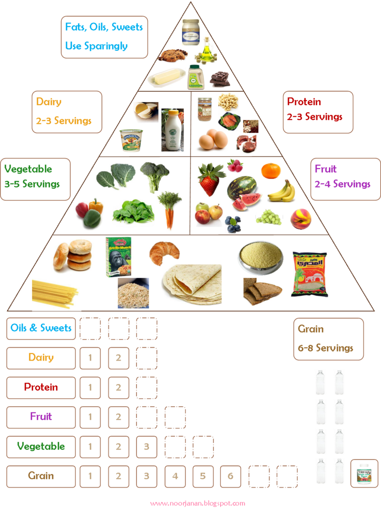 Noor Janan Homeschool Food Chart Food Pyramid Kids Healthy Food 