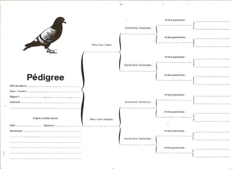 Printable Pigeon Pedigree Forms Blank - Printable Forms Free Online