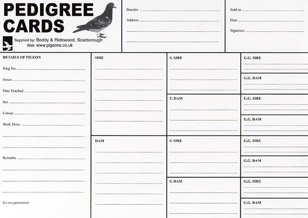 Pedigree Cards 4 Generation Pigeons co uk