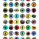 Printable Instant Download Dragons Fairies Enchanted Creature Eye