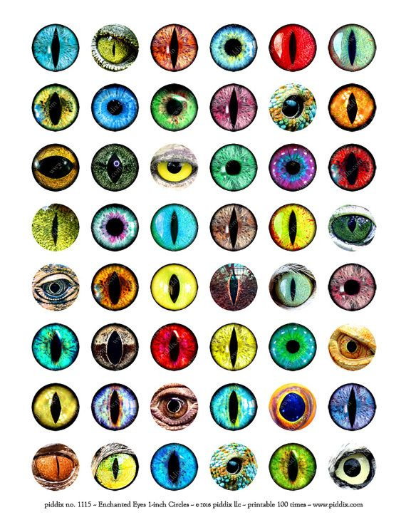 Printable Instant Download Dragons Fairies Enchanted Creature Eye 