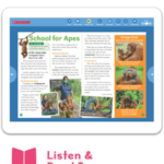 Scholastic News Edition 2 Weekly Nonfiction Magazine For Grade 2