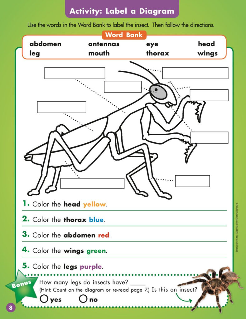Scholastic News Grade 2 Printables