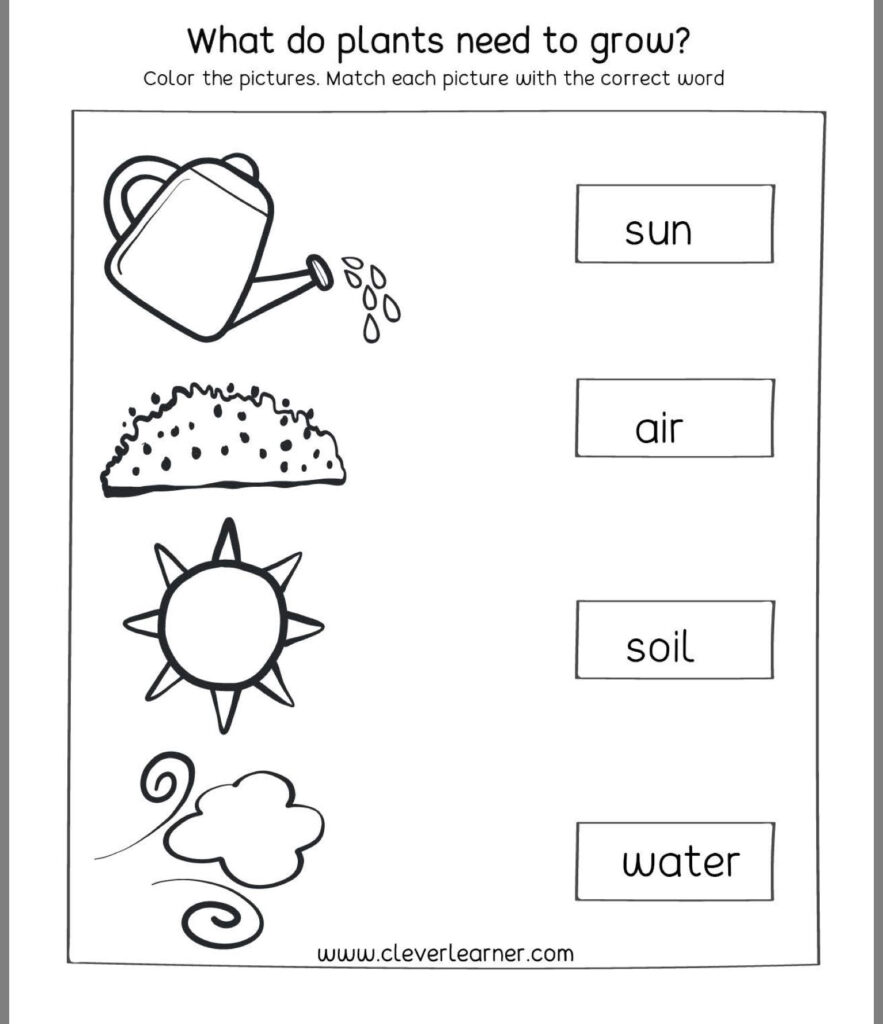 Teach Child How To Read Easy Science Worksheets For 1st Grade Soil Water