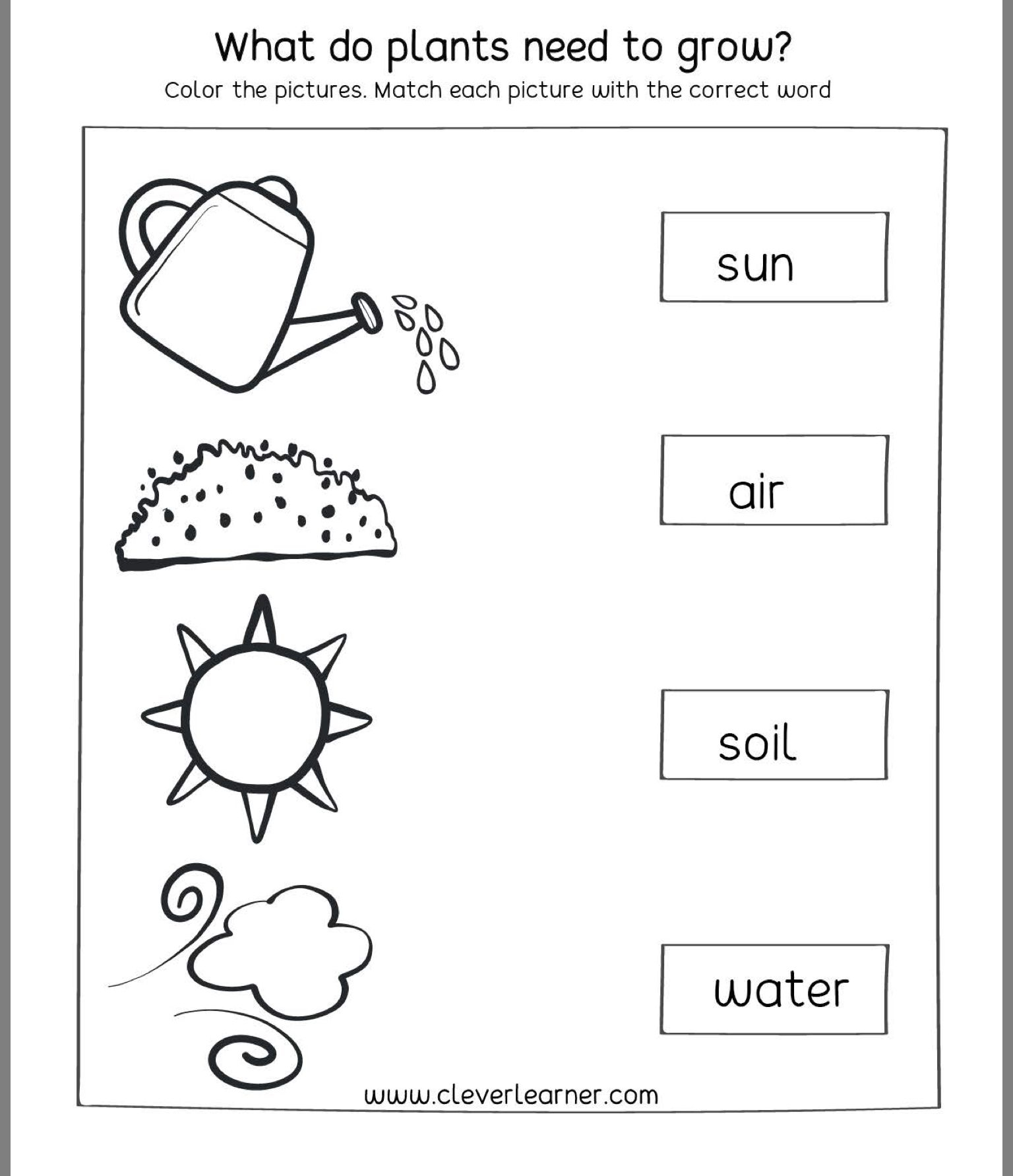 Free Printable First Grade Science Worksheets