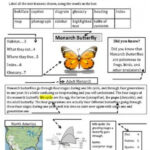 Text Features Worksheets 2nd Grade Photo Album Images Are Phootoo