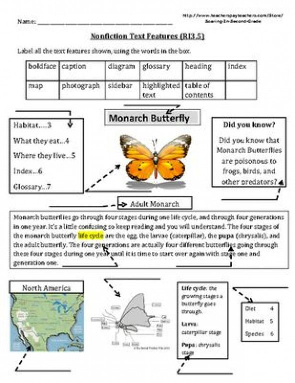 Text Features Worksheets 2nd Grade Photo Album Images Are Phootoo 