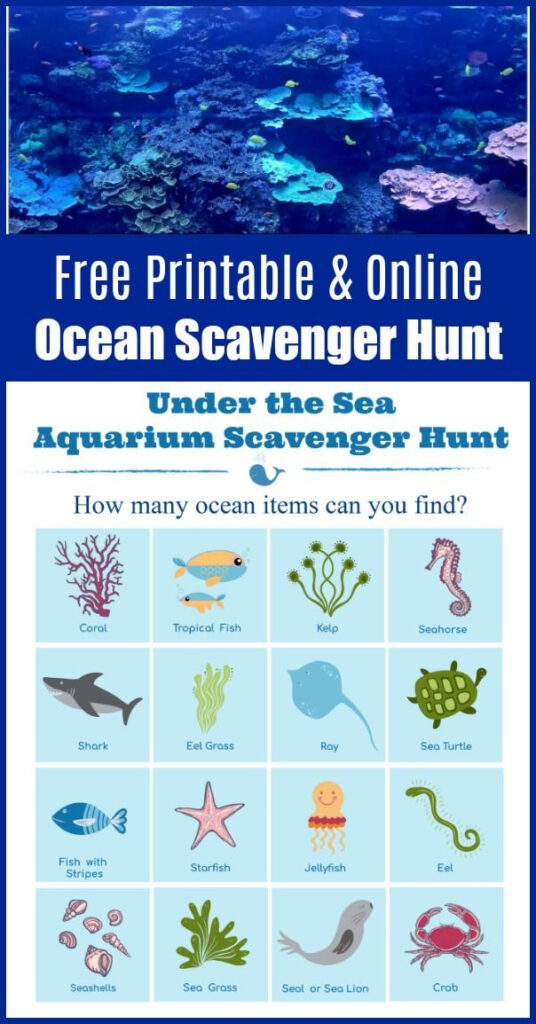Under The Sea Aquarium Scavenger Hunt free Printable Scavenger 
