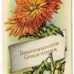 Vintage Thanksgiving Clip Art Mums Placecard The Graphics Fairy