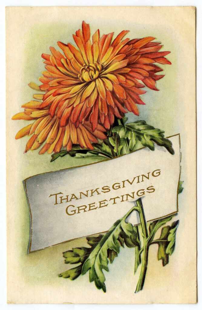 Vintage Thanksgiving Clip Art Mums Placecard The Graphics Fairy