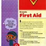 Brownie First Aid Badge Requirements Girl Scout Brownie Badges