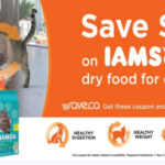 Canadian Daily Deals Save ca Iams Cat Food Coupon