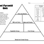 Food Pyramid Quiz 3rd 4th Grade Lesson Plan Food Pyramid Kids Food