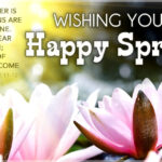 Happy Spring ECard Free Spring Cards Online