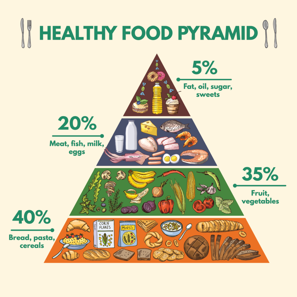 Is The Food Pyramid Still Relevant Food Pyramid Food Pyramid Kids 
