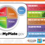 Myplate Food Guide Serving Sizes Yoiki Guide