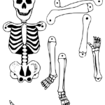 Skeleton Cutout holiday halloween skeleton skeletons 2 skeleton