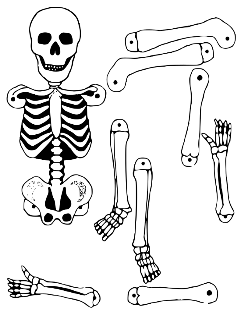Skeleton Cutout holiday halloween skeleton skeletons 2 skeleton 