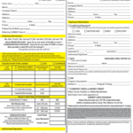 Subway Order Form Fill Online Printable Fillable Blank PdfFiller