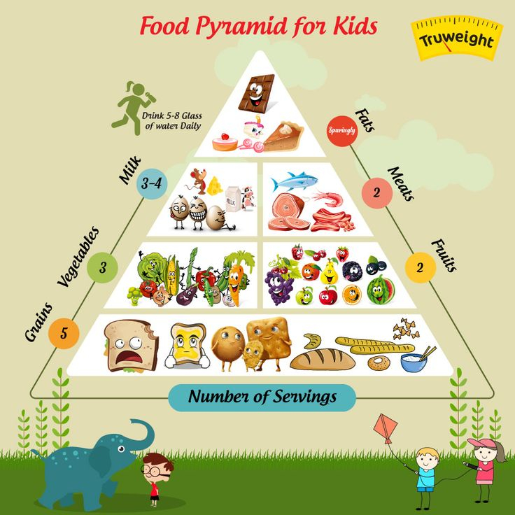 5 Building Steps Of A Food Pyramid You Should Know Educa o Infantil 