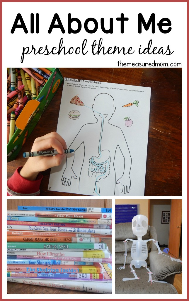 All About Me fabulous Science Activities From Our Time To Learn 